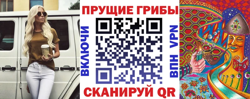 Галлюциногенные грибы Psilocybe  Челябинск 