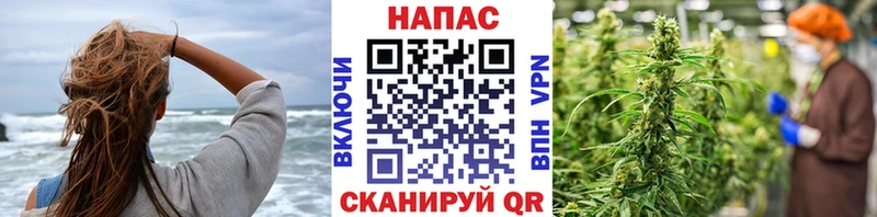 наркота  Челябинск  Канабис VHQ 